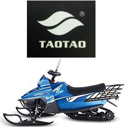 Tao Tao Snowmobiles